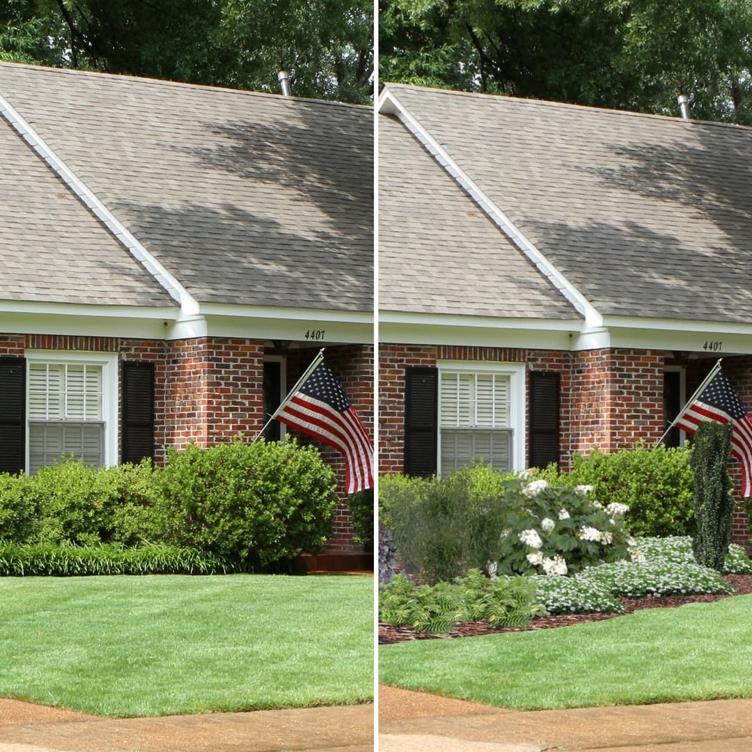 Spotlight On Sky Pencil Holly